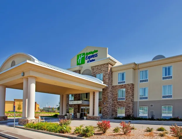 Holiday Inn Express Hotel & Suites East Wichita I-35 Andover by IHG hotel detail image 1