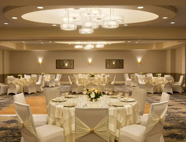 Embassy Suites by Hilton Boston Waltham hotel detail image 3