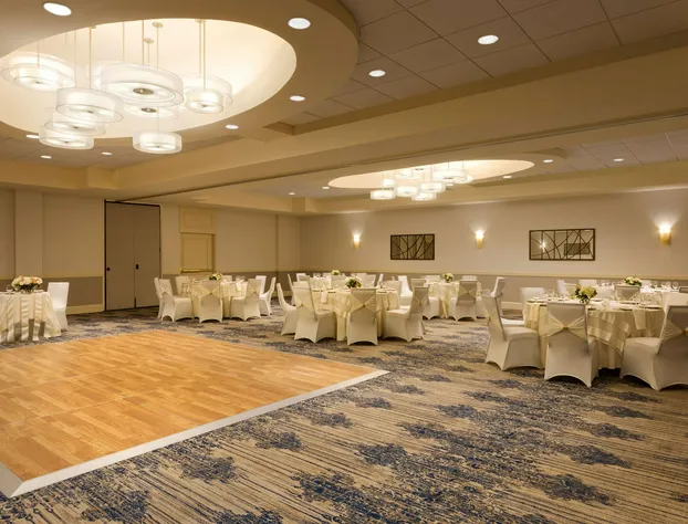 Embassy Suites by Hilton Boston Waltham hotel detail image 4