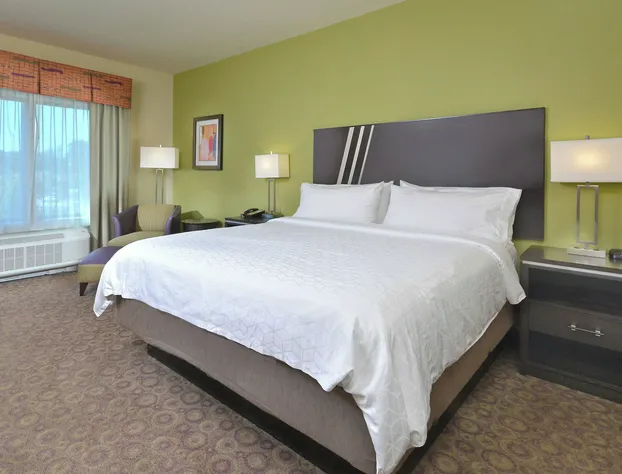 Holiday Inn Express & Suites Clemson by IHG hotel detail image 4
