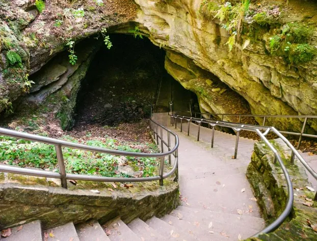 Staybridge Suites Bowling Green by IHG hotel detail image 3