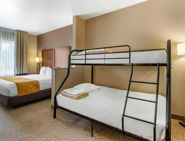 Comfort Suites Coralville I-80 hotel detail image 4