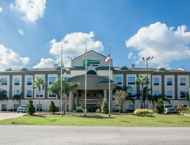 Holiday Inn Express Hotel & Suites Houston-Alvin by IHG hotel detail image 1