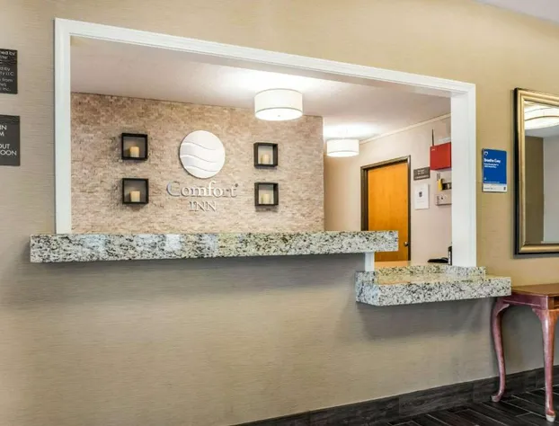 Comfort Inn Ottawa Starved Rock Area hotel detail image 2