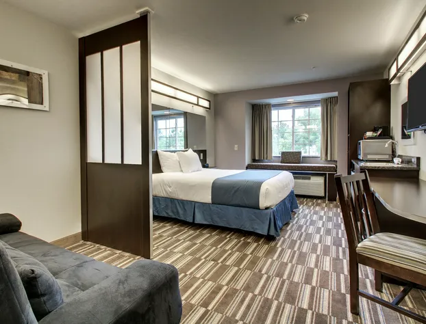 Microtel Inn & Suites by Wyndham Tuscaloosa hotel detail image 2