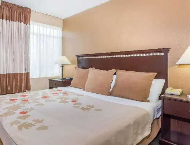 Metro Chandler Extended Stay hotel detail image 3