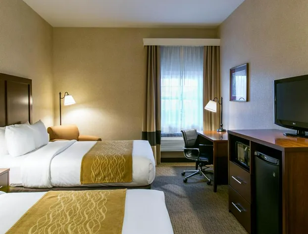 Comfort Inn Warrensburg Station hotel detail image 4