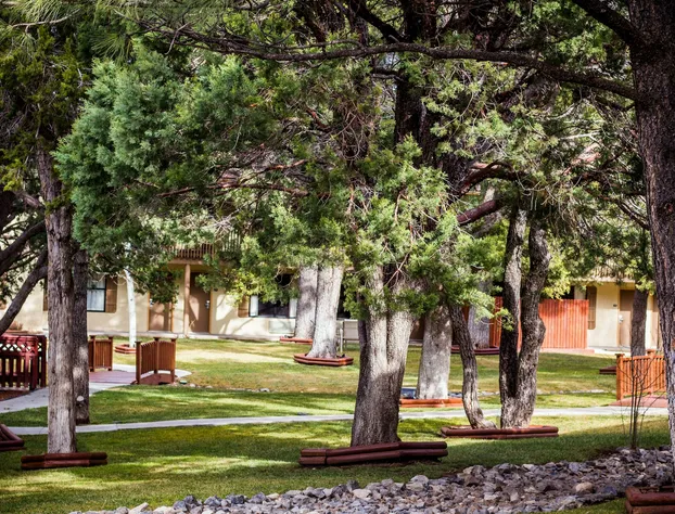 Best Western Pine Springs Inn hotel detail image 2