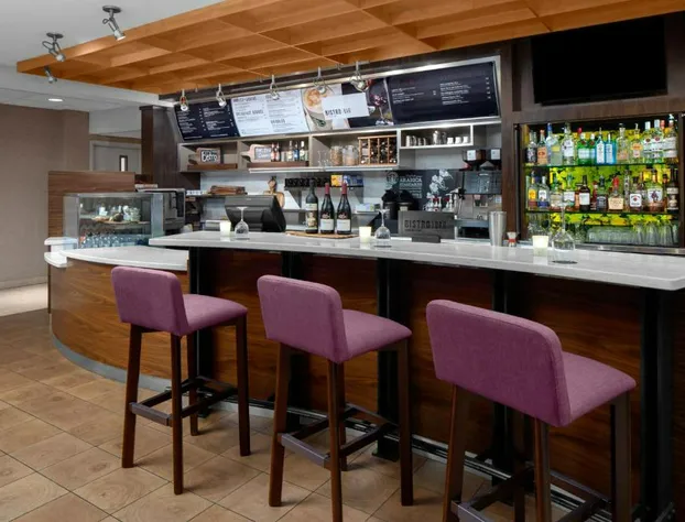 Courtyard by Marriott Detroit Brighton hotel detail image 4