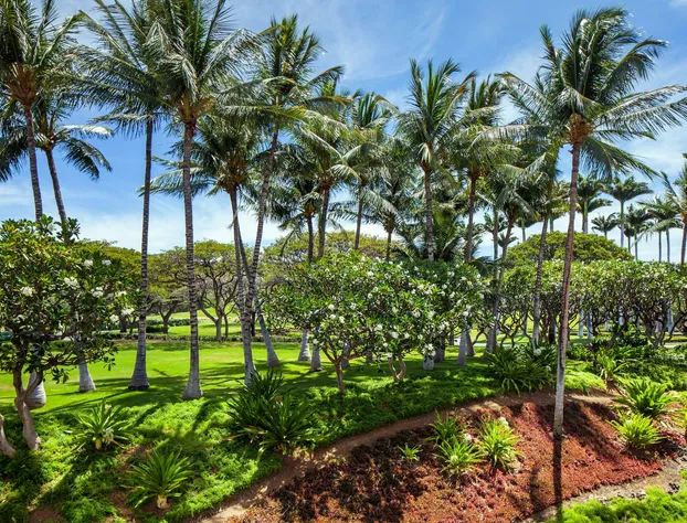 The Westin Hapuna Beach Resort hotel detail image 1