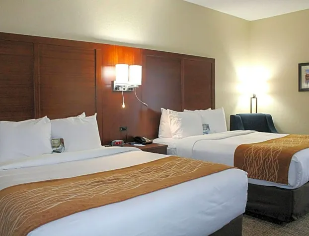 Comfort Inn & Suites Fultondale Gardendale I-65 hotel detail image 3