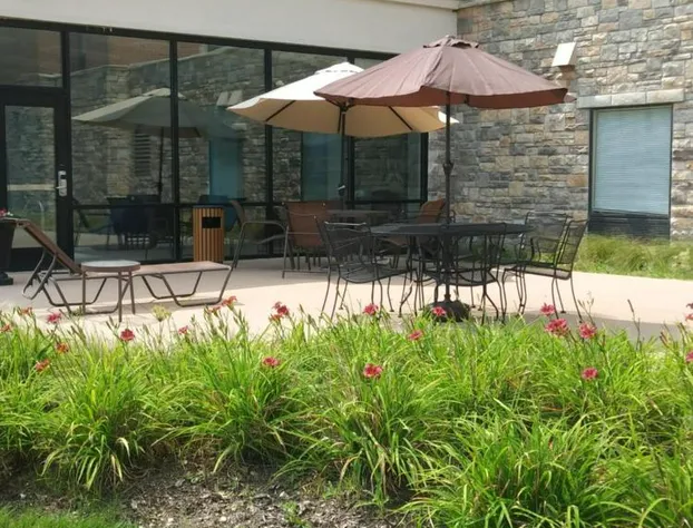 Hampton Inn & Suites Chicago Deer Park hotel detail image 1