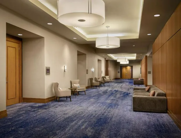 The Westin Austin at The Domain hotel detail image 4