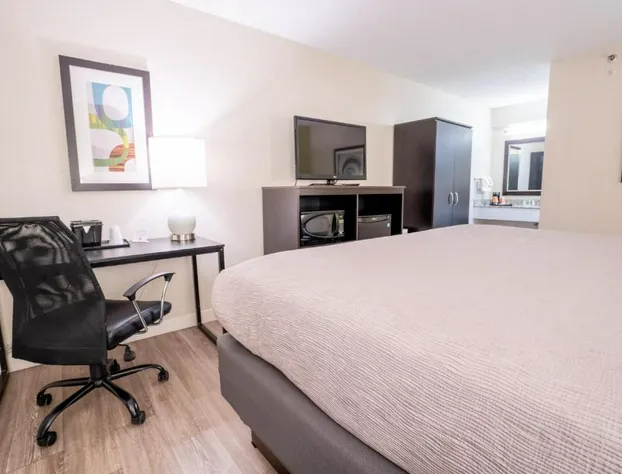 Quality Inn Palm Beach International Airport hotel detail image 3