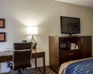 Comfort Inn & Suites Fuquay Varina hotel detail image 3