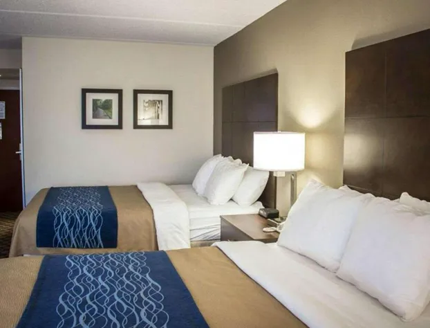 Comfort Inn & Suites Fuquay Varina hotel detail image 2