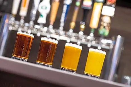 Sheraton Milwaukee Brookfield Hotel hotel detail image 4