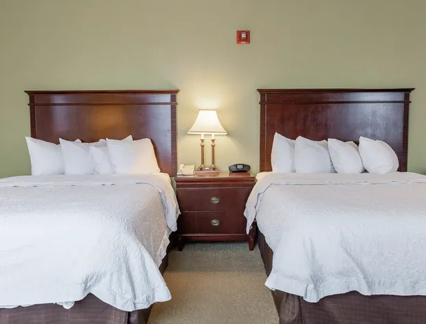 Hampton Inn & Suites Birmingham-Downtown-Tutwiler hotel detail image 4