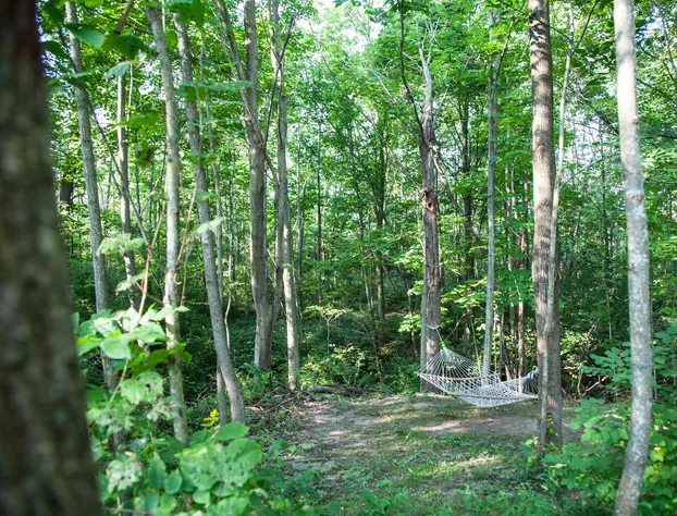 La Tourelle hotel detail image 4