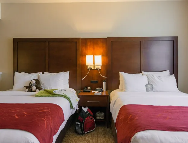 Comfort Suites Springfield-Eugene hotel detail image 3
