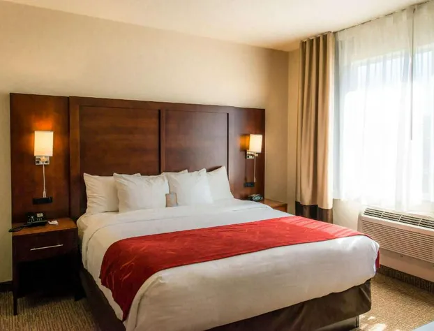 Comfort Suites Springfield-Eugene hotel detail image 4