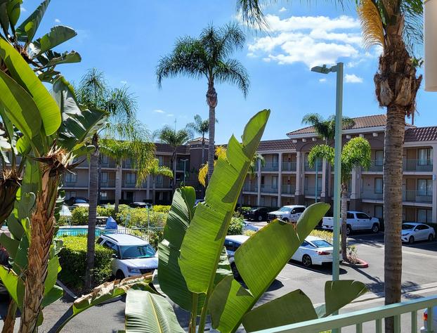 Cortona Inn & Suites Anaheim Resort hotel detail image 4