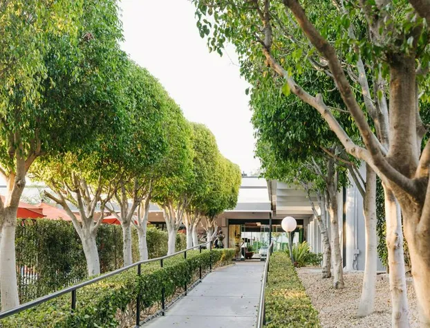 Palm Garden Hotel hotel detail image 4