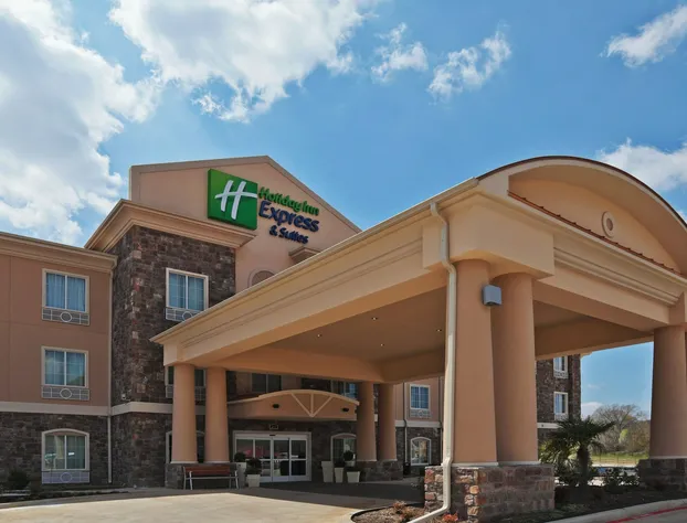 Holiday Inn Express Hotel & Suites JACKSONVILLE by IHG hotel detail image 1