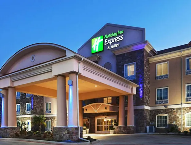 Holiday Inn Express Hotel & Suites JACKSONVILLE by IHG hotel detail image 2