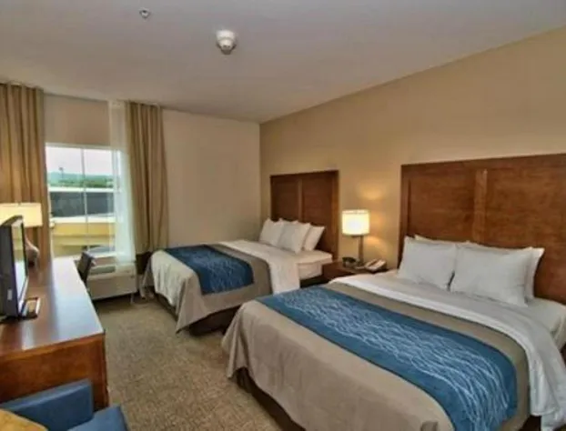 Comfort Inn Apalachin / Binghamton W Route 17 hotel detail image 3