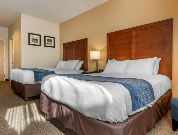 Comfort Inn Apalachin / Binghamton W Route 17 hotel detail image 4