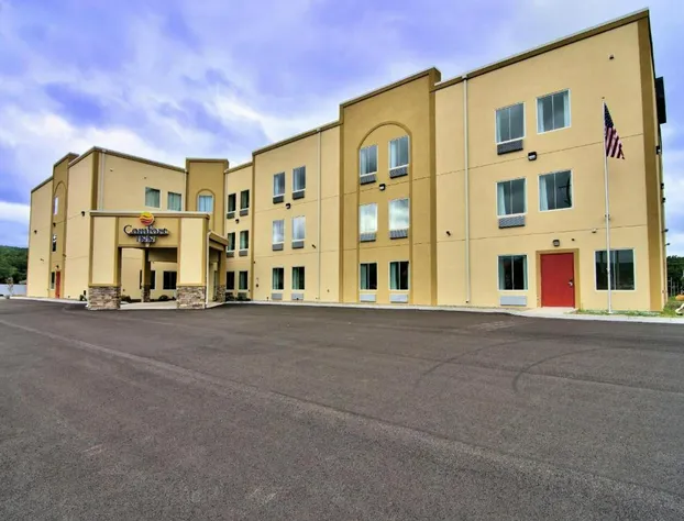 Comfort Inn Apalachin / Binghamton W Route 17 hotel detail image 1