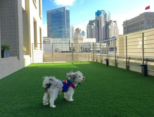 Hotel Nikko San Francisco hotel detail image 1