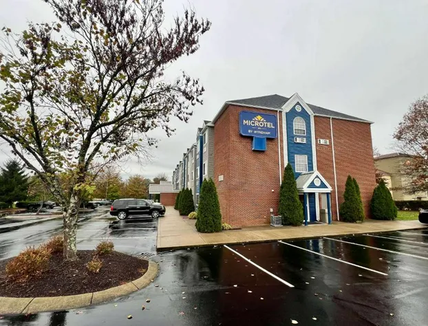 Microtel Inn by Wyndham Georgetown hotel detail image 1