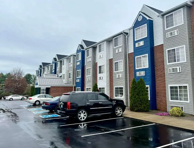 Microtel Inn by Wyndham Georgetown hotel detail image 4