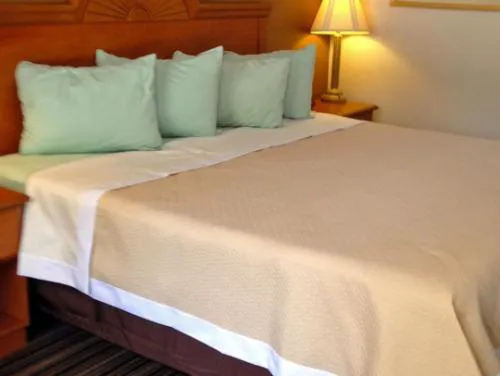 Americas Best Value Inn DeRidder hotel detail image 3