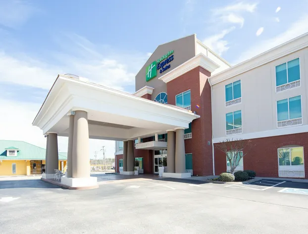 Holiday Inn Express & Suites Lenoir Cty by IHG hotel detail image 1