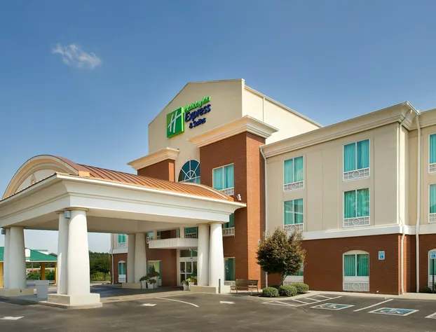 Holiday Inn Express & Suites Lenoir Cty by IHG hotel detail image 3