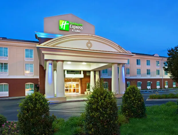 Holiday Inn Express & Suites Lenoir Cty by IHG hotel detail image 4