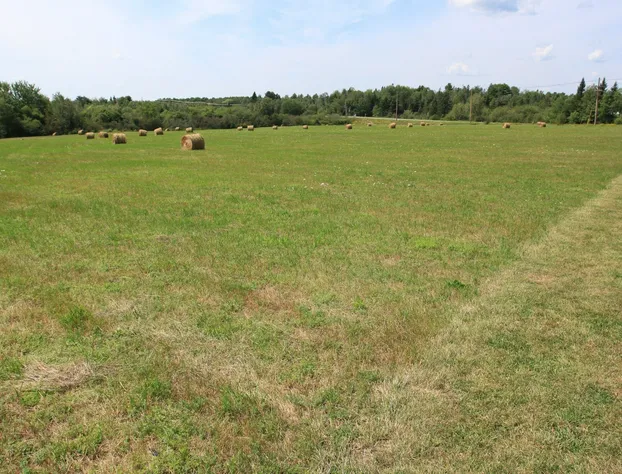 Best Western White House Inn hotel detail image 2