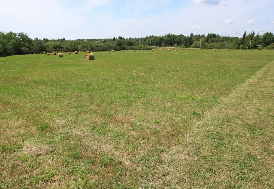 Best Western White House Inn hotel hero