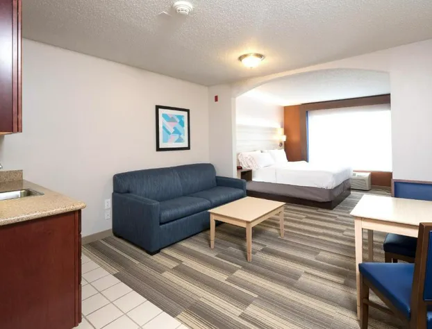 Holiday Inn Express Hotel & Suites Grand Blanc by IHG hotel detail image 1