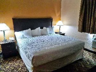 Americas Best Value Inn & Suites Bismarck hotel detail image 2