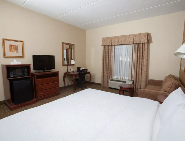 Hampton Inn Oneonta hotel detail image 2