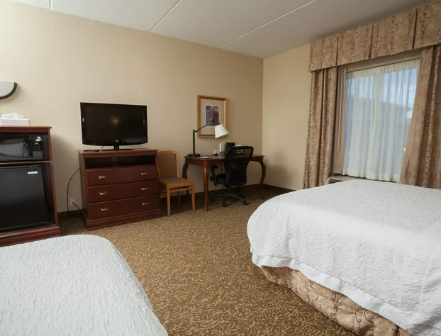 Hampton Inn Oneonta hotel detail image 3