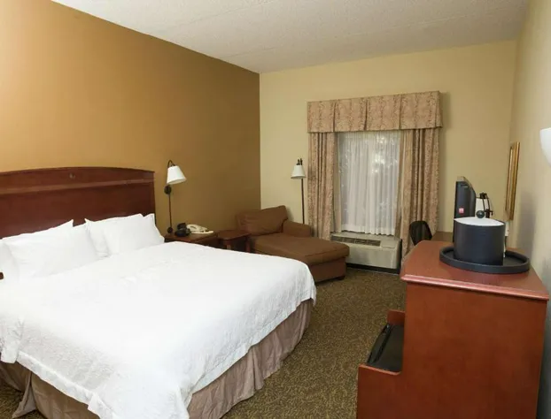 Hampton Inn Oneonta hotel detail image 4