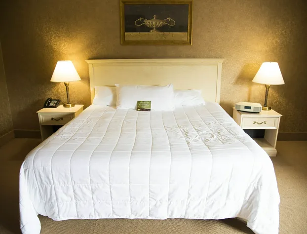 Pocono Palace Resort hotel detail image 3