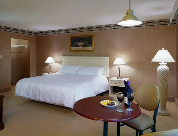 Pocono Palace Resort hotel detail image 4