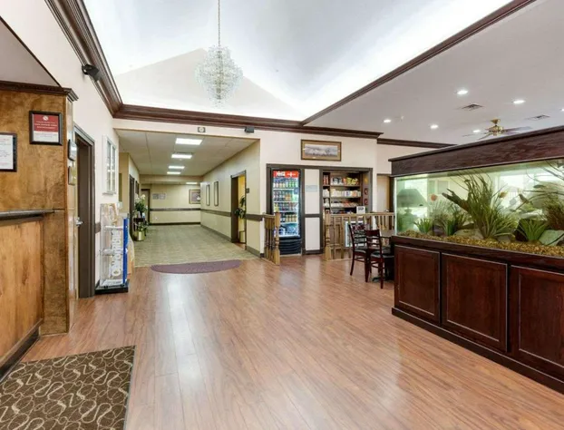 Comfort Suites Lake Jackson Clute hotel detail image 4