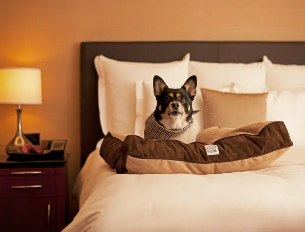 Hyatt Place Atlanta/Buckhead hotel detail image 4